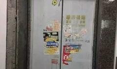 网红电梯吃瓜,揭秘网络红人的“瓜田”生活