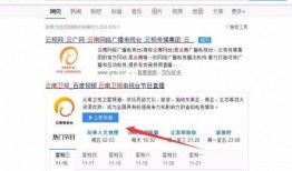 爆料云南卫视直播视频,揭秘幕后精彩瞬间