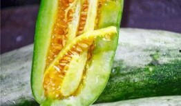 网红吃瓜意味着什么,揭秘网络时代的娱乐现象与社交心理