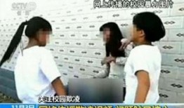 网红爆料校园暴力视频播放,网红爆料引发社会关注