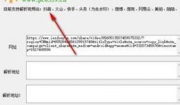 乐多视频爆料网站下载,揭秘热门视频幕后故事