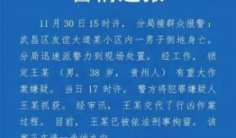 高校教师爆料案例大全最新,揭秘教育行业背后的真相与挑战