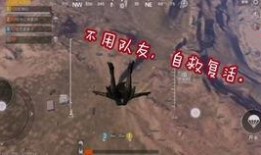 吃鸡国际服最新版本爆料,全新内容与玩法大曝光！