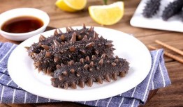 烟台海参爆料视频最新一期,揭秘海参行业潜规则，最新一期视频深度解析