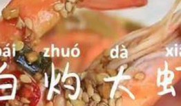 美食爆料热点视频大全集,热点视频大全集带你领略舌尖上的世界