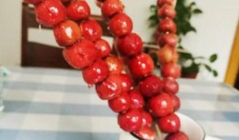 地摊糖葫芦爆料视频大全,街头美食背后的故事大全