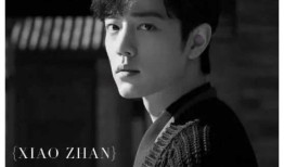 肖战内娱爆料最新消息,最新动态揭秘，娱乐圈风云再起