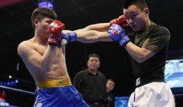 拳王爆料司机视频在线观看,揭秘司机视频背后的惊人真相