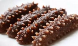 烟台海参爆料视频最新一期,揭秘海参行业潜规则，最新一期视频深度解析