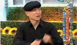 刘德华爆料女星视频,真相与争议并存