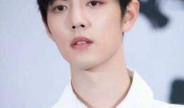 肖战爆料刘昊然视频,幕后真相令人震惊