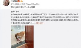 表哥最新爆料新闻事件,表哥最新爆料，震惊业界新闻事件全解析