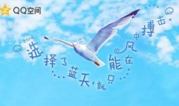 蓝天最新版爆料,揭秘科技巨头新动向与行业变革