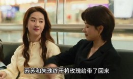 内娱最新事件爆料视频,揭秘明星幕后真相