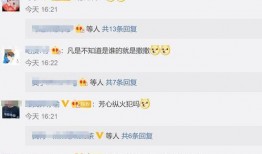 撒贝宁爆料明侦视频大全,明侦视频大全背后的精彩瞬间