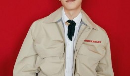 刘昊然视频爆料大全集,揭秘明星幕后生活点滴