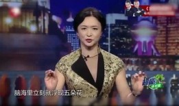 金星爆料酒店视频,揭秘娱乐圈不为人知的幕后故事