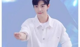 图片肖战圈内人爆料,揭秘娱乐圈背后的真相