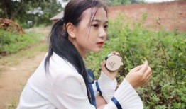 实时爆料张曼如简介视频,揭秘网红背后的真实人生