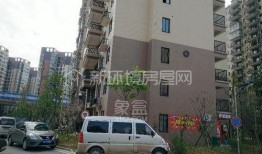 新宇星城爆料事件最新,揭秘背后真相与争议