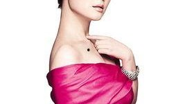 袁立爆料泰国新闻事件,真相与争议交织