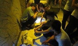 阳江娱乐场所爆料,揭秘幕后真相与精彩瞬间