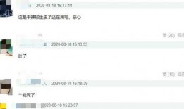 陈赫女友爆料视频播放大全,揭秘情感纠葛背后的真相