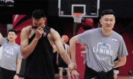 爆料杜锋姐姐事件视频,真相揭秘，舆论漩涡中的情感纠葛