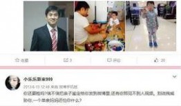 陈继志律师爆料视频大全,揭秘事件真相与内幕