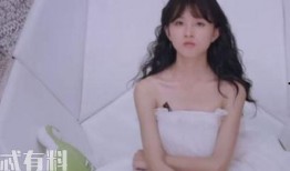 洪一诺最新爆料,揭秘娱乐圈不为人知的幕后故事