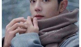 肖战内娱爆料最新消息,最新动态揭秘，娱乐圈风云再起