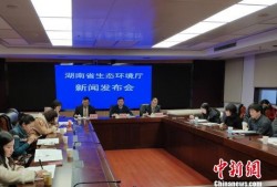 湖南工厂爆料案件最新情况,真相逐步浮出水面