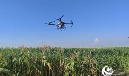 平舆县无人机爆料案件最新,揭秘背后真相与法律交锋