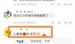 七月狗仔爆料了吗视频,独家视频揭秘娱乐圈幕后真相