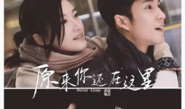 原来你还在这里在线观看,重温经典，共赴青春回忆之旅