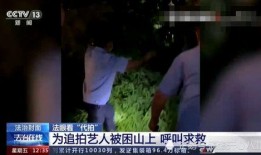 香港爆料艺人新闻视频,揭秘娱乐圈幕后真相