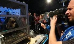 荷兰人爆料中国人的视频,视频曝光中国人真实生活片段