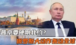 俄国最新爆料事件,揭秘神秘事件背后真相