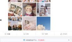 娱乐爆料网红,揭秘娱乐圈背后的秘密与风云