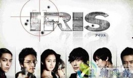 生死迷谍iris在线观看,揭秘暗影中的生死较量