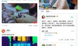 优酷娱乐爆料rise,RISE组合新动态，精彩内容即将揭晓！