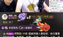 大飞哥鉴宝爆料视频,古董珍品背后的故事与价值