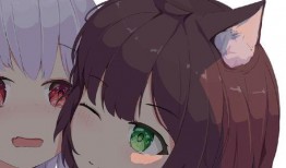 荷兰回应内讧视频爆料网,官方回应与真相揭秘