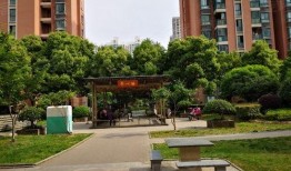 娱乐吃瓜酱花园,揭秘娱乐圈那些不为人知的幕后故事