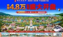 岳阳恒大最新爆料,揭秘神秘项目背后的惊人真相