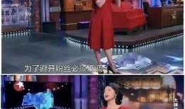 金星爆料酒店视频,揭秘娱乐圈不为人知的幕后故事