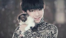 老师爆料王俊凯视频合集,揭秘偶像成长背后的故事