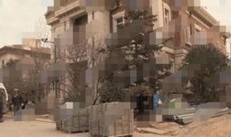 张柏芝豪宅爆料事件视频,奢华生活细节大揭秘