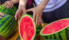 卖西瓜给人免费吃瓜,西瓜飘香，共享夏日清凉时光