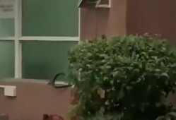 台山吃瓜最新事件爆料新闻,最新爆料揭露惊人内幕